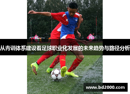 从青训体系建设看足球职业化发展的未来趋势与路径分析