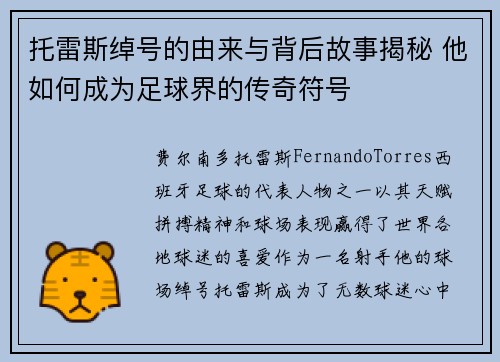 托雷斯绰号的由来与背后故事揭秘 他如何成为足球界的传奇符号